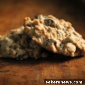 Chewy Oatmeal Currant Delights 5 Irresistible Oatmeal Currant Cookies