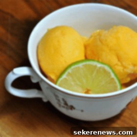 Effortless Champagne Mango Sorbet 5 Homemade Champagne Mango Sorbet in Teacup
