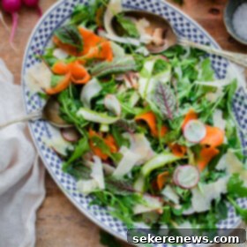Parmesan-Kissed Ribboned Vegetable Salad 4 Shaved Vegetable Arugula Salad Recipe with Parmesan. A beautiful summer salad filled with shaved vegetables and tossed with lemon vinaigrette!