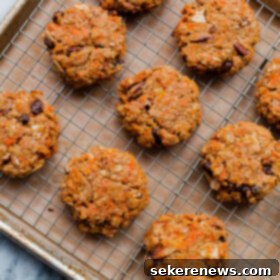 Sunrise Carrot Cake Cookies 5 Carrot Cake Breakfast Cookies - healthy breakfast cookies that are refined sugar free, whole grain, and taste just like carrot cake!