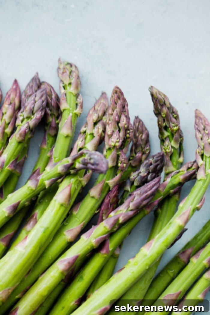 Perfect Asparagus Every Time 2 Fresh Asparagus with Purple Tips, ready for cooking