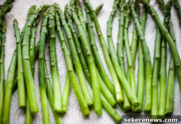 Perfect Asparagus Every Time 9 Perfectly Steamed Asparagus spears on a white plate