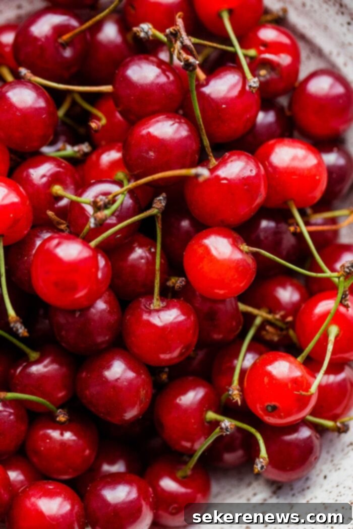 The Allure of Sour Cherries 3 Sour Cherries