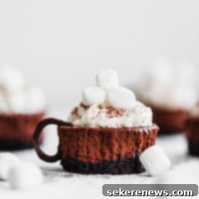 Cozy Hot Cocoa Cheesecake Bites 4 Mini Hot Chocolate Cheesecakes garnished beautifully