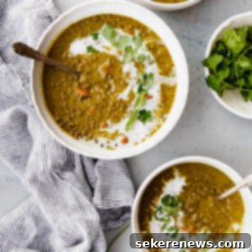 Comforting Slow Cooker Curried Lentil Soup 8 Slow Cooker Curried Lentil Soup - an EASY flavorful lentil soup flavored with turmeric, ginger, cardamom, cloves, cinnamon, and coconut milk.