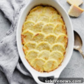 Semolina Gnocchi Alla Romana 6 Gnocchi Alla Romana