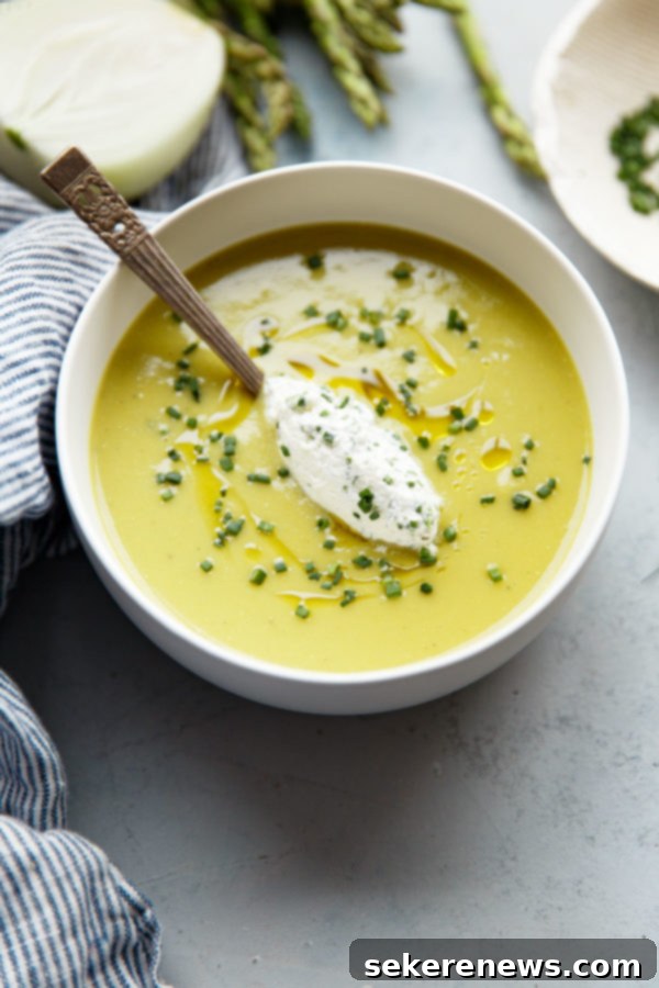 Asparagus Potato Soup with Creamy Texture and Chive Garnish