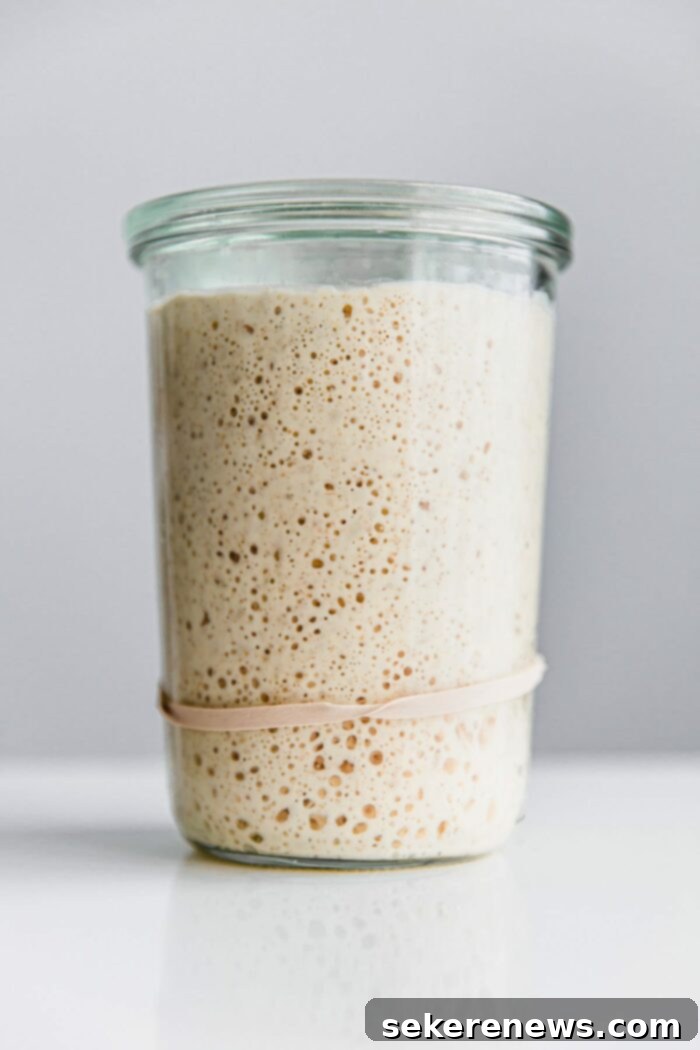Sourdough Success: Essential Tools and Guides 8 Active sourdough starter bubbling inside a clear glass Weck jar, showing its vitality