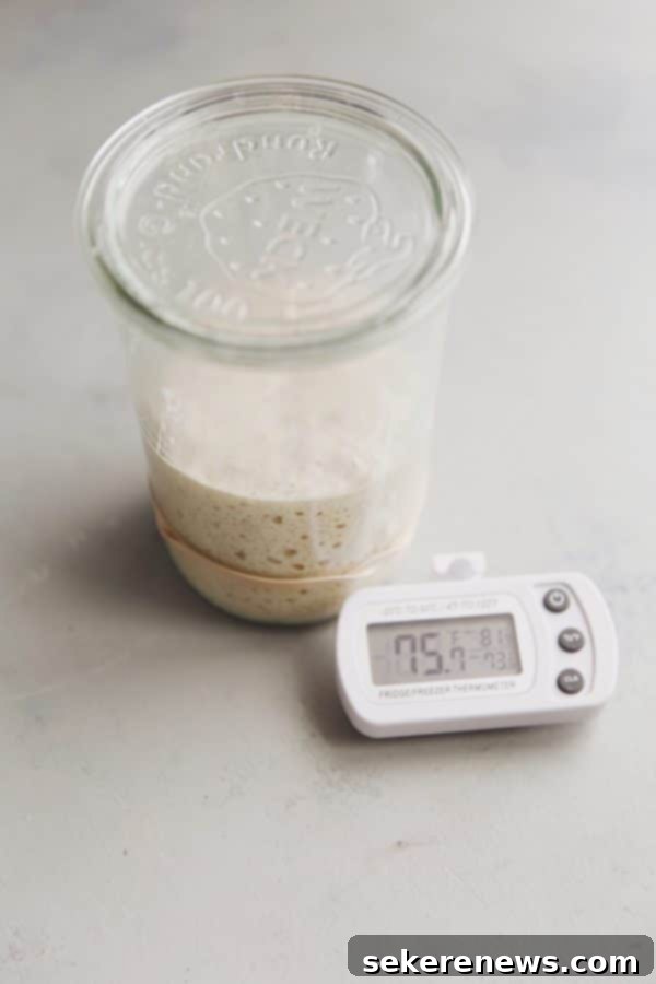 Sourdough Success: Essential Tools and Guides 16 Sourdough starter in a jar with an ambient thermometer nearby, highlighting temperature importance