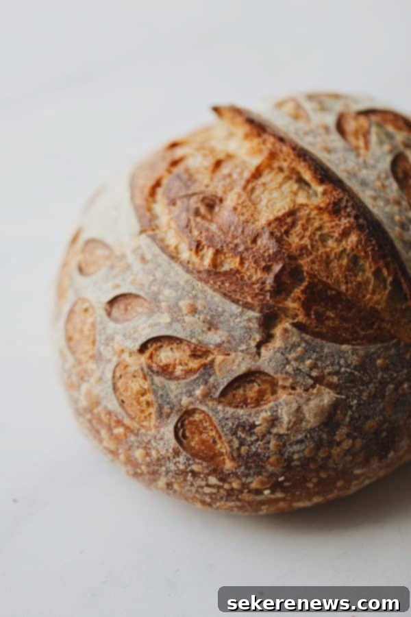 The rewarding process of baking homemade sourdough bread at home Close-up of a homemade sourdough loaf with a perfectly crusted exterior and inviting golden hue