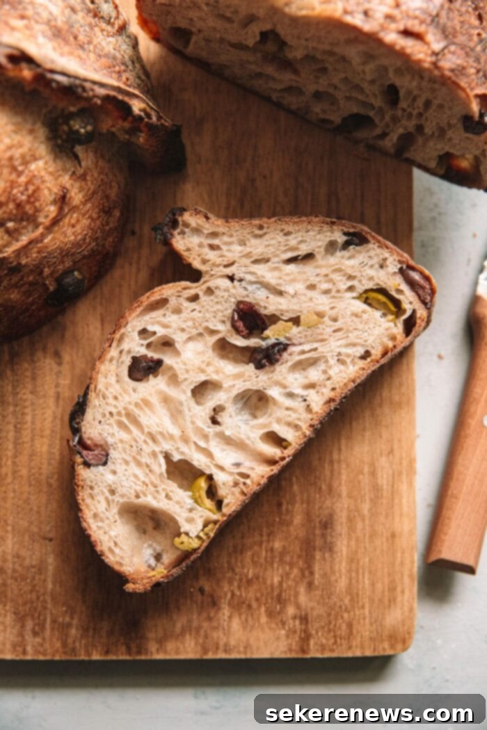Sourdough Success: Essential Tools and Guides 2 Delicious olive sourdough bread, sliced to reveal a beautiful open and airy crumb