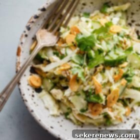 Burmese Chicken Salad 4 Burmese Chicken Salad in a bowl