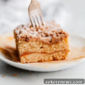 Pumpkin Spice Swirl Coffee Cake 12 Spiced Coffee Cake with Pumpkin Butter Swirl - A beautiful plate