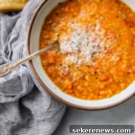 Cozy Red Lentil Stew 2 img 41806 5