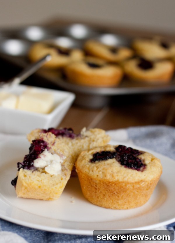 Blackberry Swirl Corn Muffins 8 Blackberry Corn Muffins