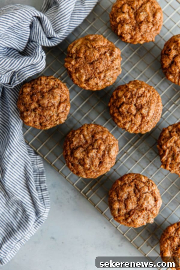 Whole Wheat Apple Cinnamon Muffins get their fluffy and moist texture from the addition of buttermilk, grated apple, and avocado oil. Lightly sweetened with coconut sugar, infused with ground cinnamon, and studded with chopped pecans, this whole wheat muffin recipe is sure to be a hit during the fall season! Sponsored by Bob's Red Mill. #abeautifulplate #muffin #recipe #apple #cinnamon #wholewheat Whole Wheat Apple Cinnamon Muffins - close up of a single whole wheat apple cinnamon muffin on a white plate, showing its moist interior and grated apple pieces.