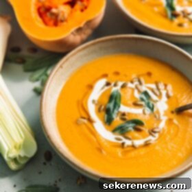 Heartwarming Roasted Butternut Squash Soup 4 Roasted Butternut Squash Soup Recipe Garnished