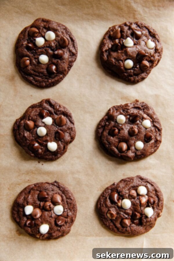 Triple Chocolate Dream Cookies 6 Triple Chocolate Cookies fresh out of the oven on parchment paper