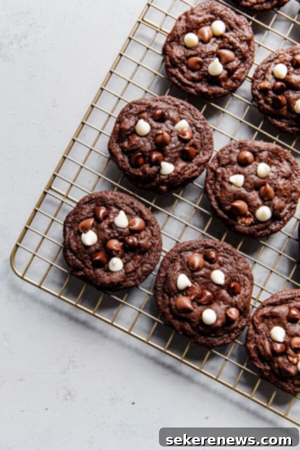 Triple Chocolate Dream Cookies 7 Warm Triple Chocolate Cookies cooling on a metal rack after baking