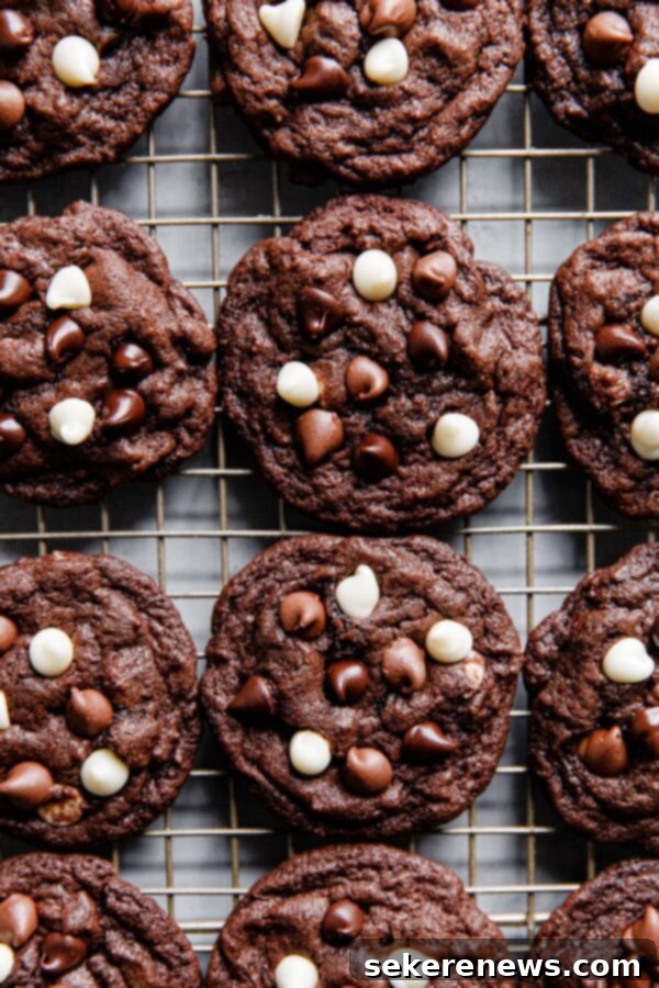 Delicious triple chocolate cookies cooling, perfect for sharing. Perfectly Baked Triple Chocolate Chip Cookies on a Cooling Rack