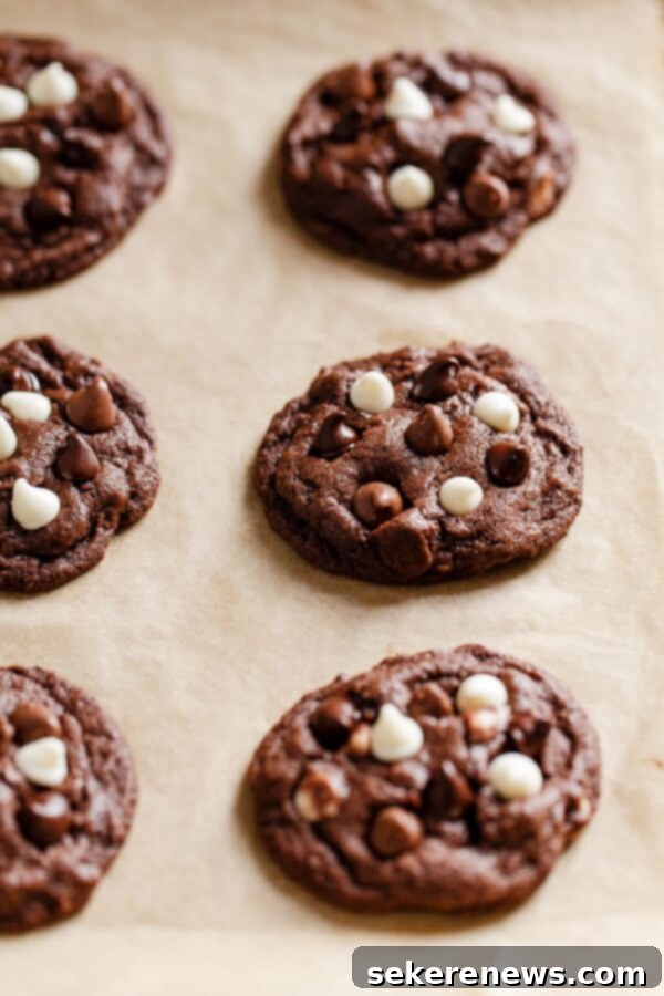 Freshly baked Triple Chocolate Cookies cooling on a baking sheet, ready to be enjoyed. Baked Triple Chocolate Cookies Cooling on Parchment Paper