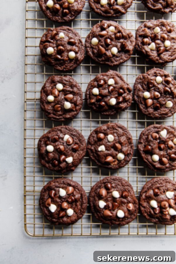Triple Chocolate Cookies cooling on a rack, ready to be served or stored. Freshly Baked Triple Chocolate Cookies Cooling on a Wire Rack