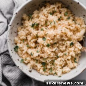 Fragrant Basmati Pilaf 4 Basmati Rice Pilaf in Speckled Bowl