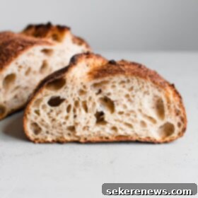 Crafting Artisan Sourdough: The Ultimate Recipe 16 Open Crumb in Artisan Sourdough Loaf
