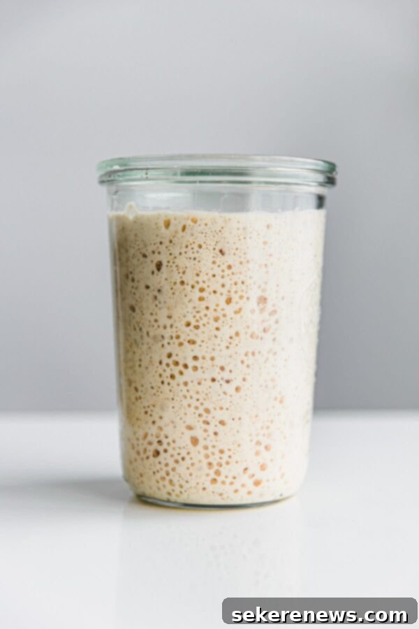 Sourdough Starter Troubleshooting Guide - creating a sourdouh starter from scratch? This Sourdough Starter Troubleshooting Guide provides answers to commonly asked questions and starter issues. Ripe Sourdough Starter in Weck Jar
