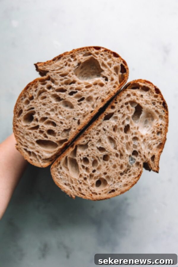 Open Crumb Sourdough Bread Loaf Sliced in Half showing a beautiful airy structure