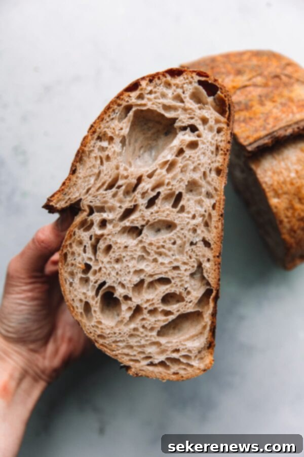 Open Crumb Artisan Sourdough Bread with a beautiful, airy texture