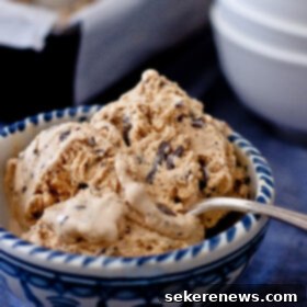Toasted Sugar Bliss with Chocolate Shards 6 Burnt Sugar Ice Cream with Dark Chocolate Bits