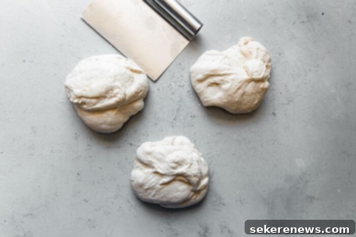 Perfect Sourdough Pizza Dough 11 Divided Pizza Dough