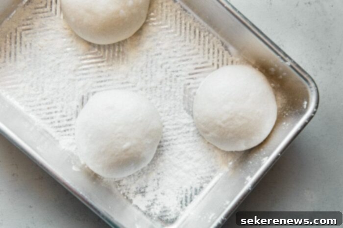 Perfect Sourdough Pizza Dough 15 Pizza Dough in Floured Proofing Container
