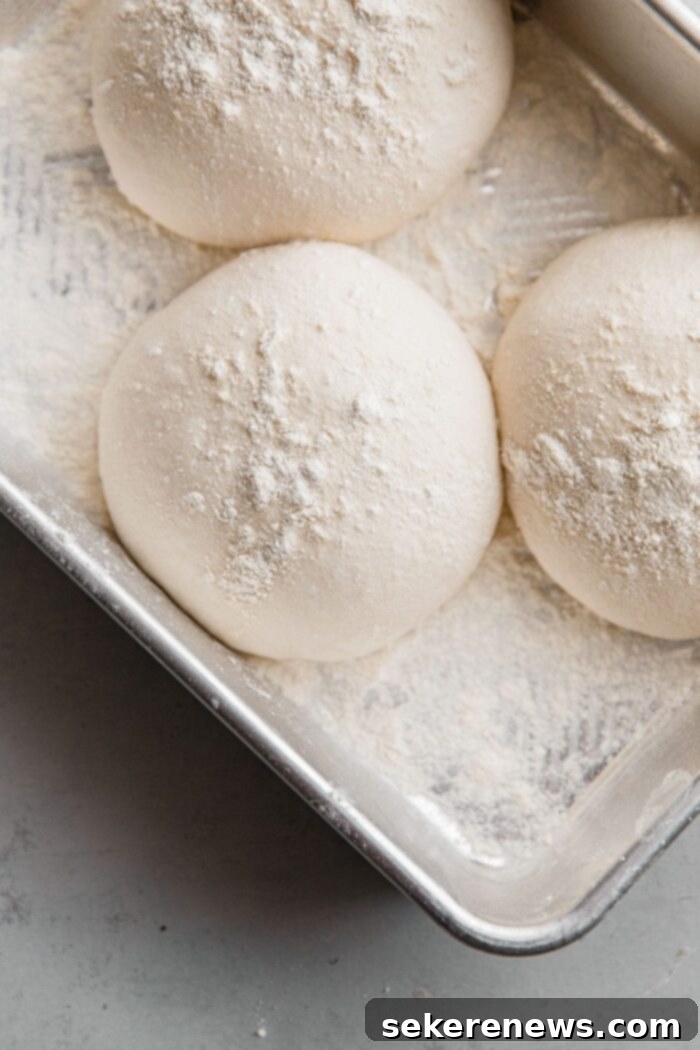 Perfect Sourdough Pizza Dough 16 Sourdough Pizza Dough Balls in Proofing Container