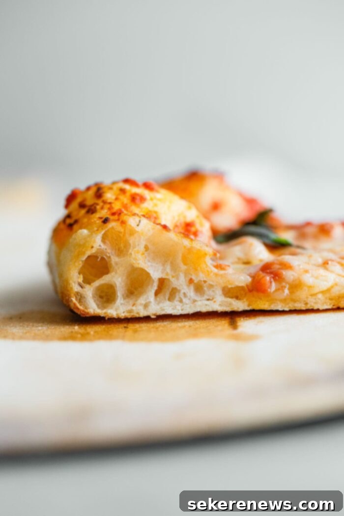 Perfect Sourdough Pizza Dough 18 Sourdough Pizza Crust Cross Section