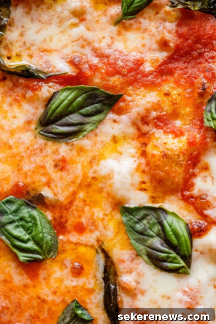 Perfect Sourdough Pizza Dough 28 Margherita Sourdough Pizza Topping Close Up