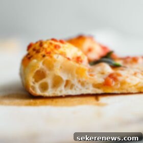 Perfect Sourdough Pizza Dough 31 Sourdough Pizza Crust Cross Section