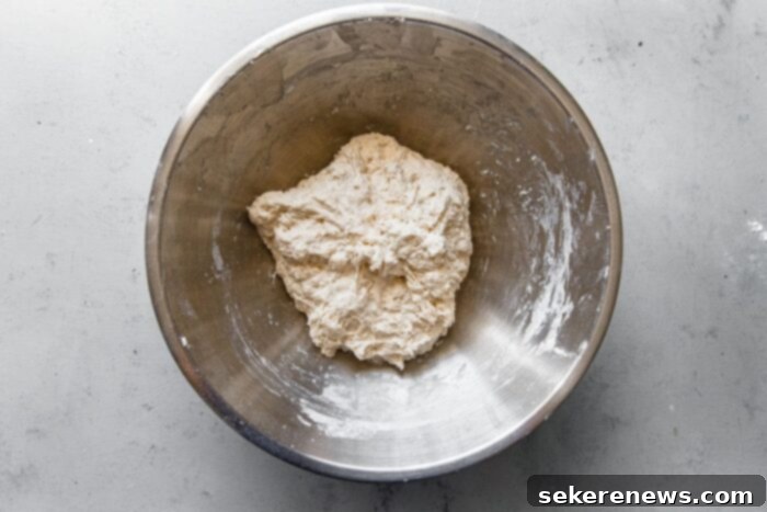Perfect Sourdough Pizza Dough 7 Mixed Sourdough Pizza Dough