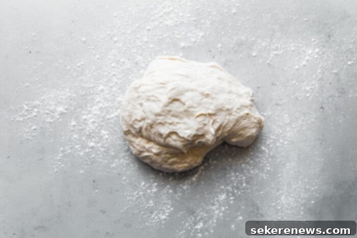 Perfect Sourdough Pizza Dough 8 Sourdough Pizza Dough on Floured Surface
