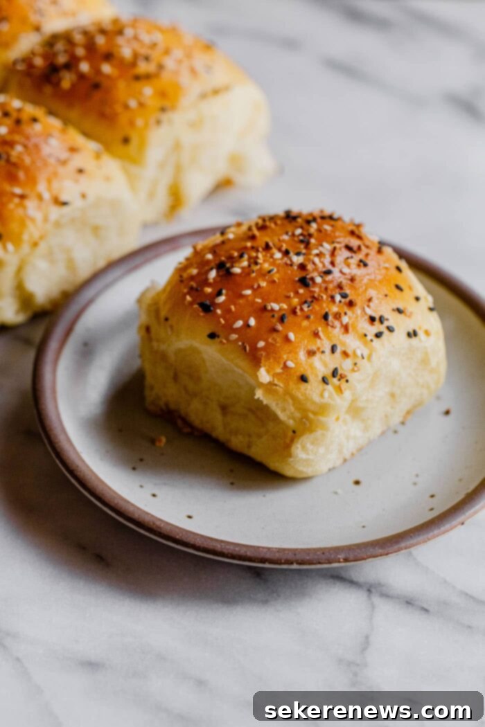Homemade Everything Dinner Rolls 2 Everything Dinner Roll on Plate, perfectly golden brown and topped with savory seasoning