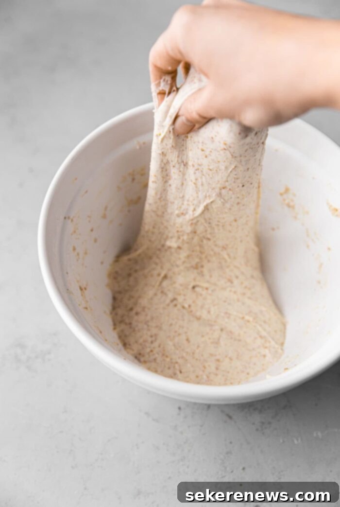 Beyond the Bag Understanding Bread Flour and All Purpose 3 Gluten Strength in Bread Dough