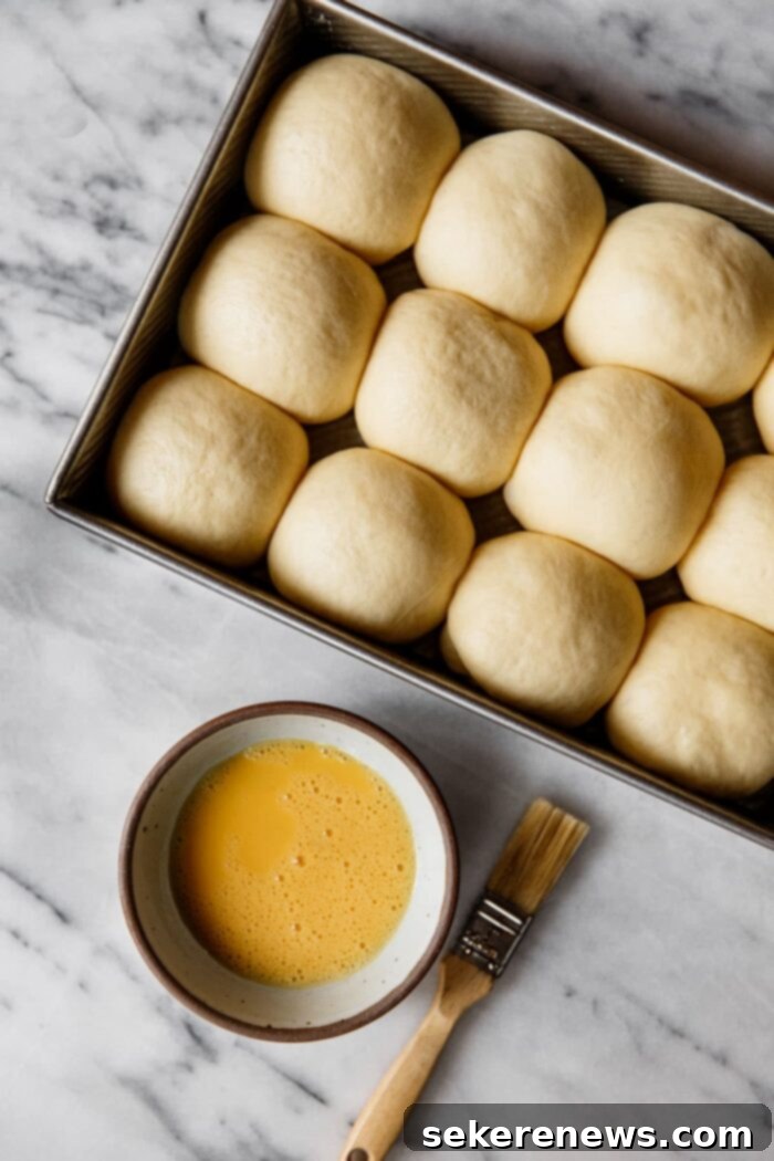Beyond the Bag Understanding Bread Flour and All Purpose 9 Dinner Rolls in Baking Pan with Egg Wash