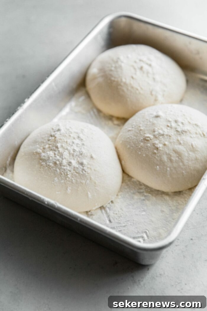 Beyond the Bag Understanding Bread Flour and All Purpose 10 Proofed Pizza Dough Balls