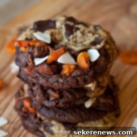Sun-Drenched Chocolate Chunk Delights 6 Tropical Chocolate Chunk Cookies
