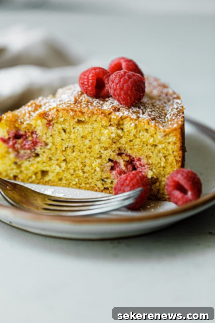 Raspberry Pistachio Delight 2 Slice of Raspberry Pistachio Cake