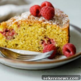 Raspberry Pistachio Delight 12 Slice of Raspberry Pistachio Cake