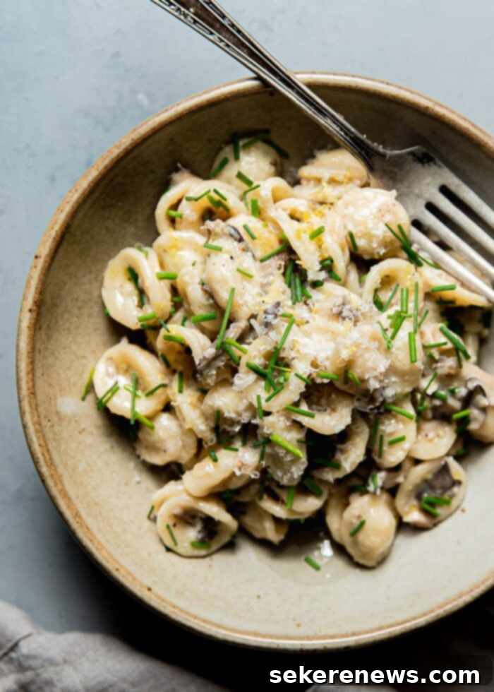 Velvety Mushroom Pasta 2 Creamy Mushroom Pasta ready to be served