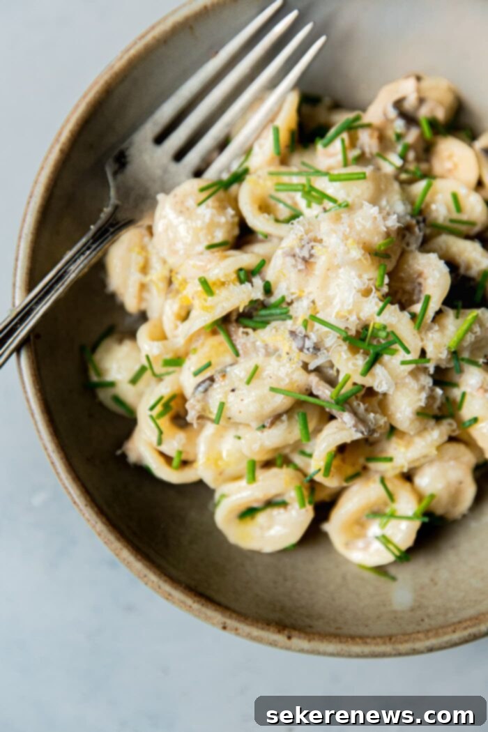 Velvety Mushroom Pasta 12 Creamy Mushroom Pasta served in a ceramic bowl