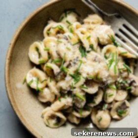 Velvety Mushroom Pasta 13 Creamy Mushroom Pasta